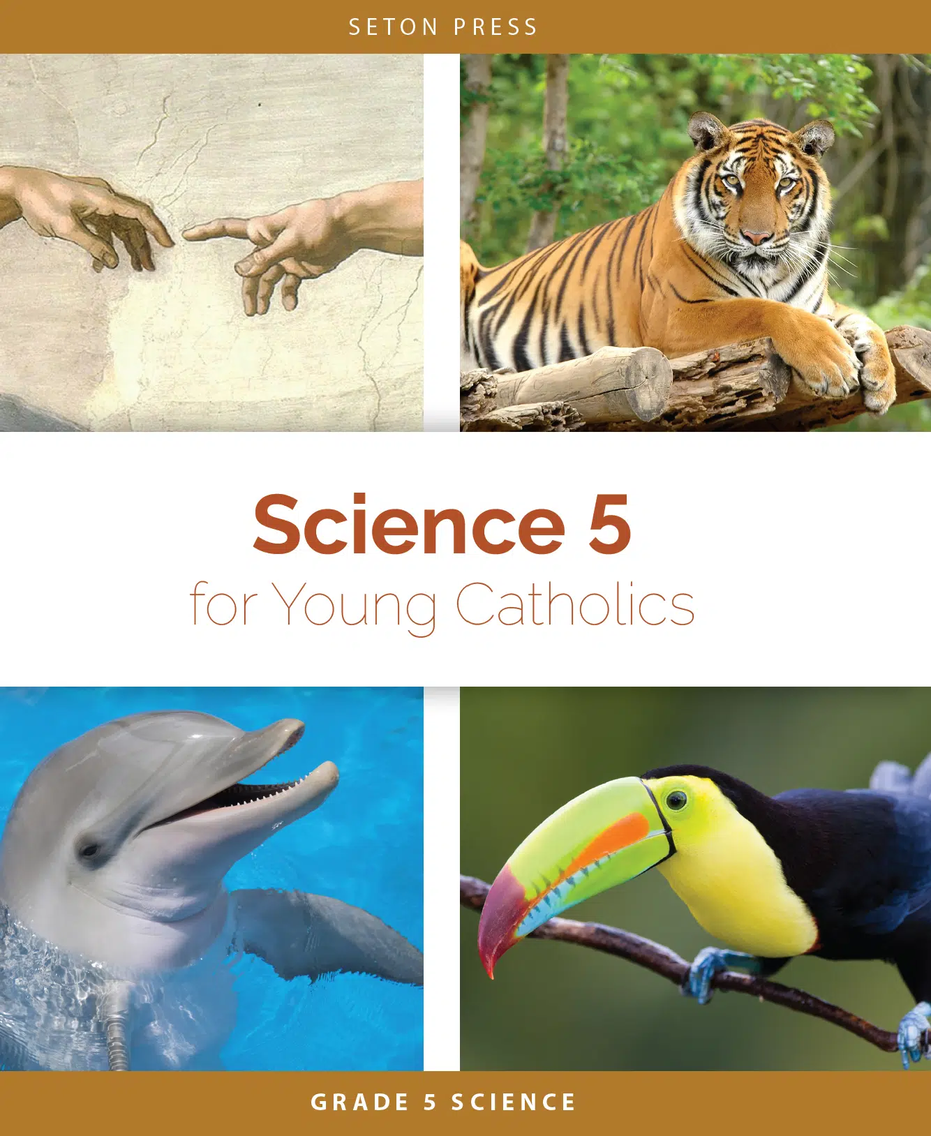 science5-cover